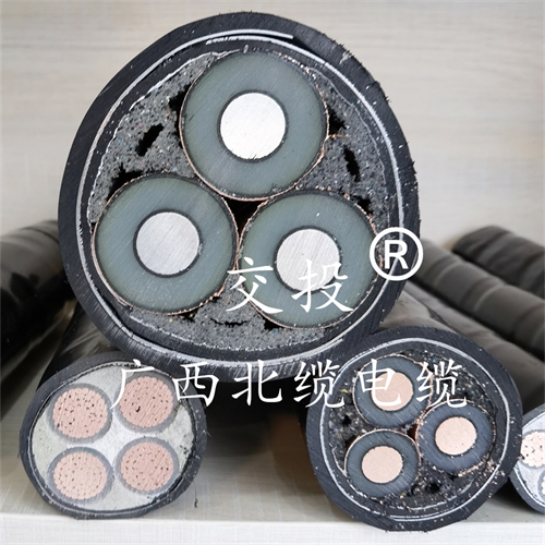 www.shenranshangmao.cn